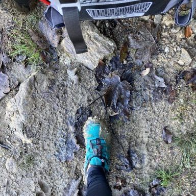 trailrun2