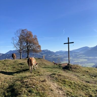trailrun4